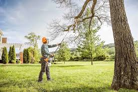 Best Lawn Mowing  in Centerville, CA